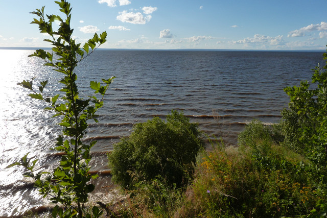 P1410033