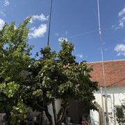 IMG 7490