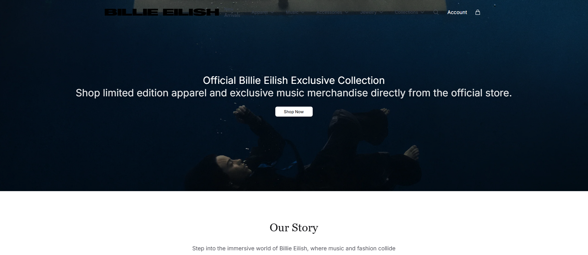 Primary capture · billieau.shop