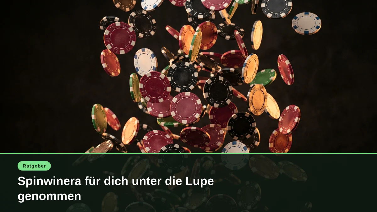 Spinwinera für dich unter die Lupe genommen