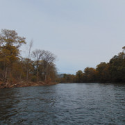 DSC06732
