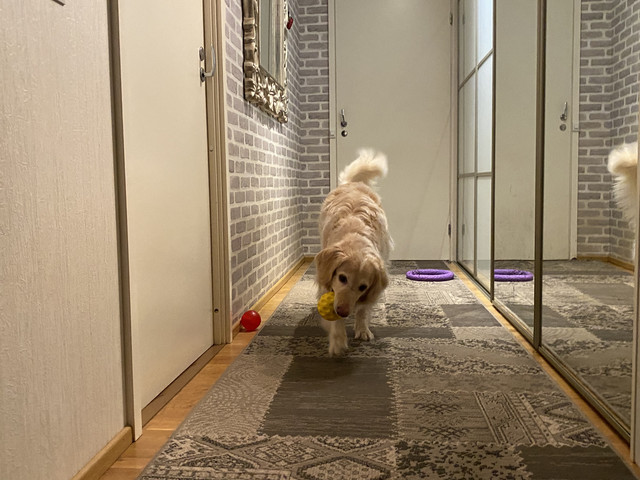 D8-E254-AC-AE01-489-B-A8-B8-96849-CA8-EE