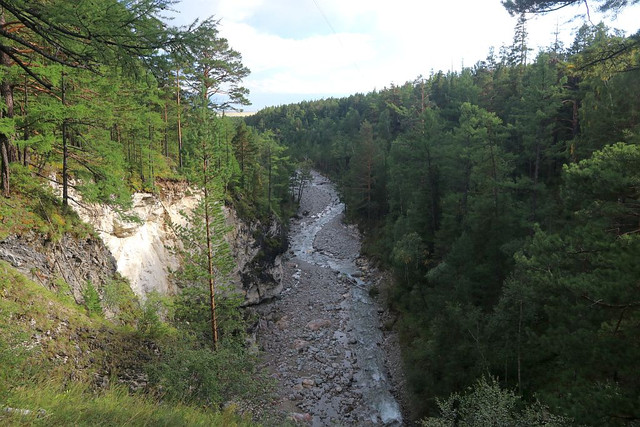 IMG 0285.jpg