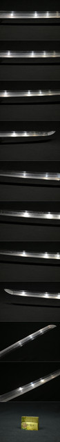 DSC2381.jpg