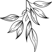 7803a12f04d1f5df88c15fdb11a2cc29