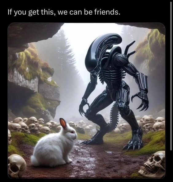 alienvsrabbit.jpg