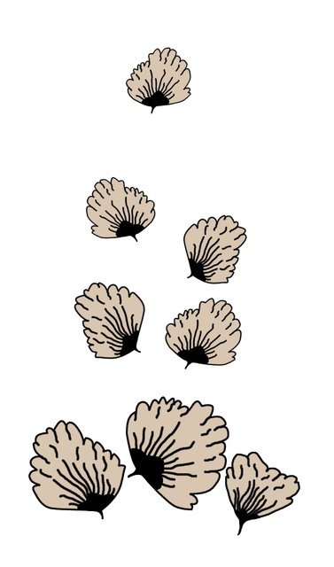 a9b2e221e501cb8dd9197ef77d139b0e.png