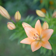 0024