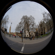 DSCF8852