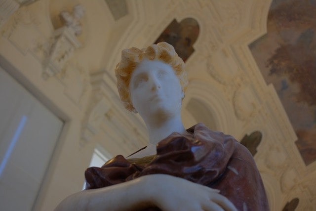 DSCF9138.jpg