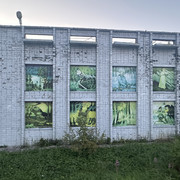 IMG 5523