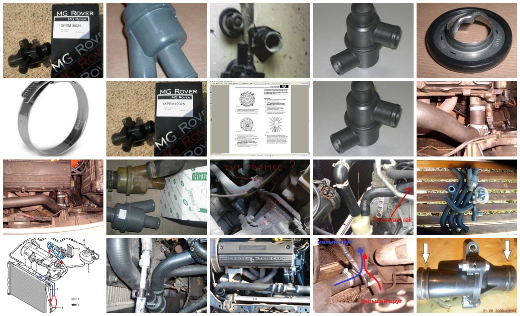 https://i.ibb.co/99mMHNxG/941-collage.jpg