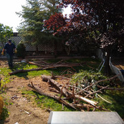 Motta Backyard (4)