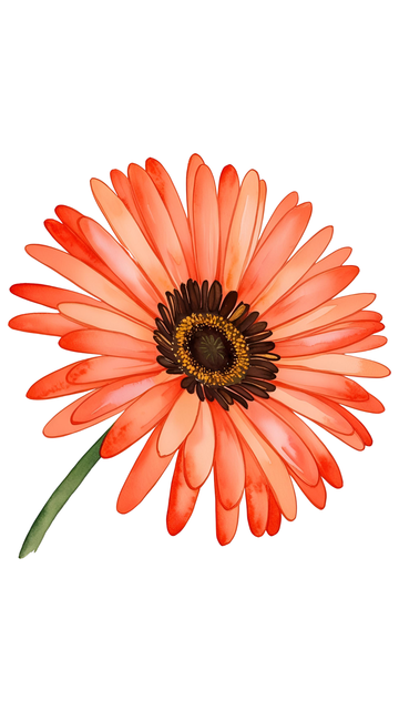 301ba5d2cf941bf98c8a535da059fb91.png