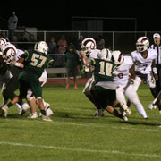 IMG-6789