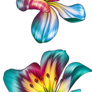 f4e7c6c59a6806fd5c7cdbd836e82bc1