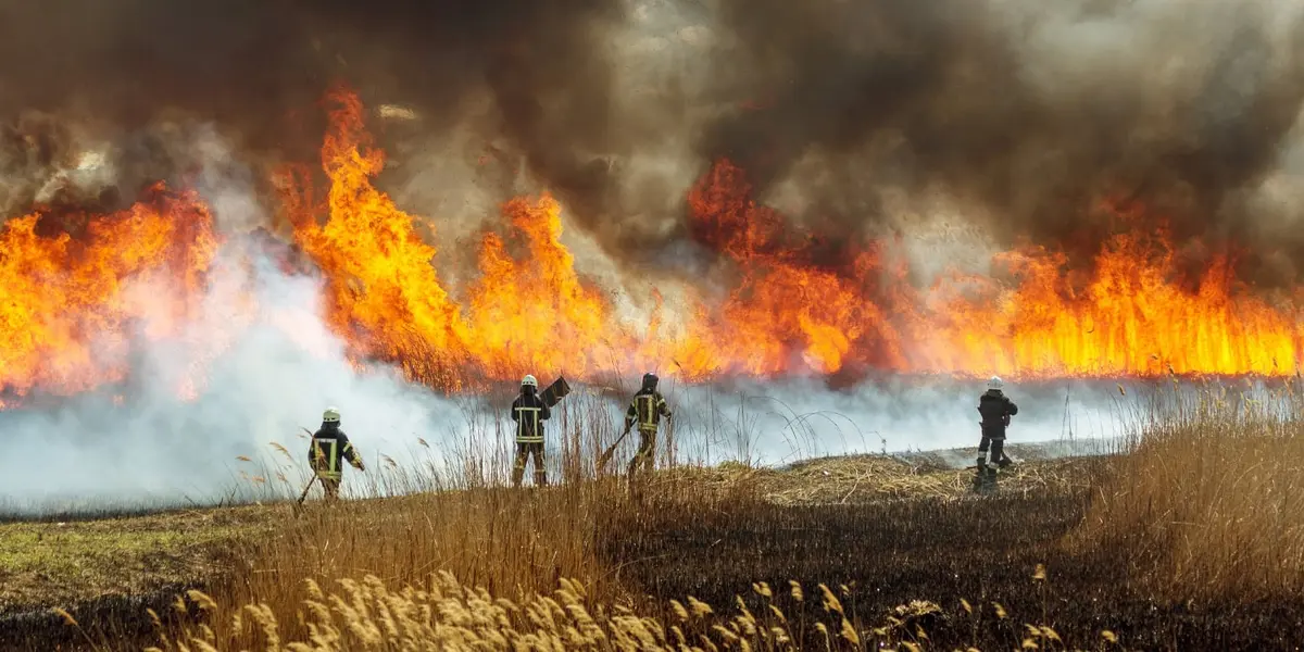 Fumatul incendiului este legat de crizele mintale ale copiilor