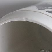 IMG-1065