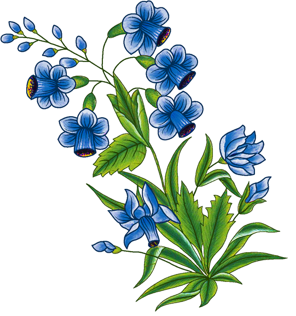 b2a895eb300b5145a4f3eb5cc37d12b2.png