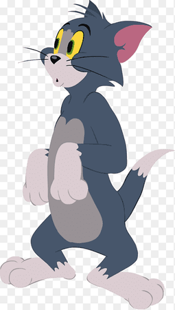 2026-08-30-B-tom.png