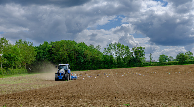 DSF1805