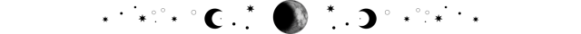IMG 3913.png