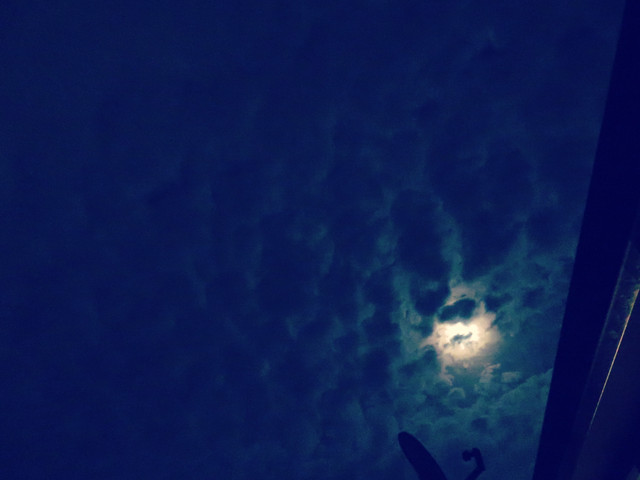 Pmoon-018.jpg
