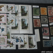 IMG-3369