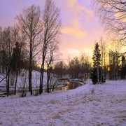 DSCF1124