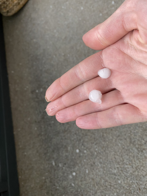 F1-E86958-C89-D-4-AA1-97-E0-B8-E155-FD0-