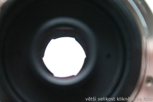 IMG-1917