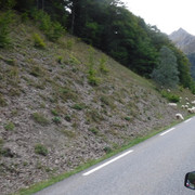 DSCF6220