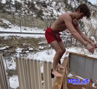 1.gif