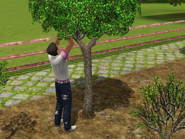Screenshot-328