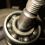 IMG-8260