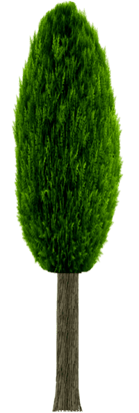 10136381LPQYfp3 (1).png