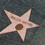waltstar