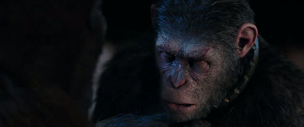 War for the Planet of the Apes Screenshot