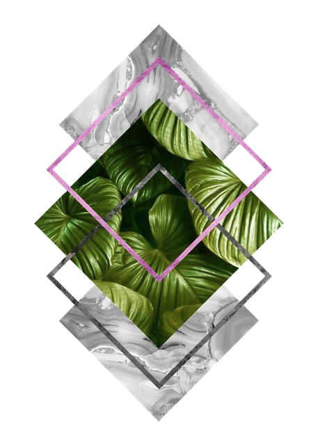 B01-15-N