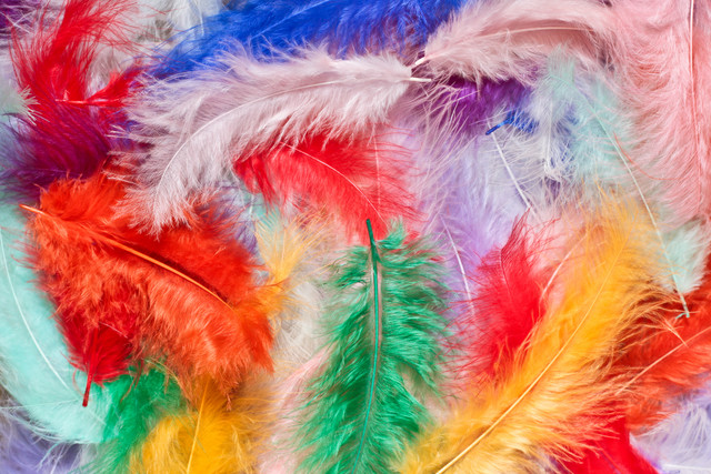 shutterstock 230898046.jpg