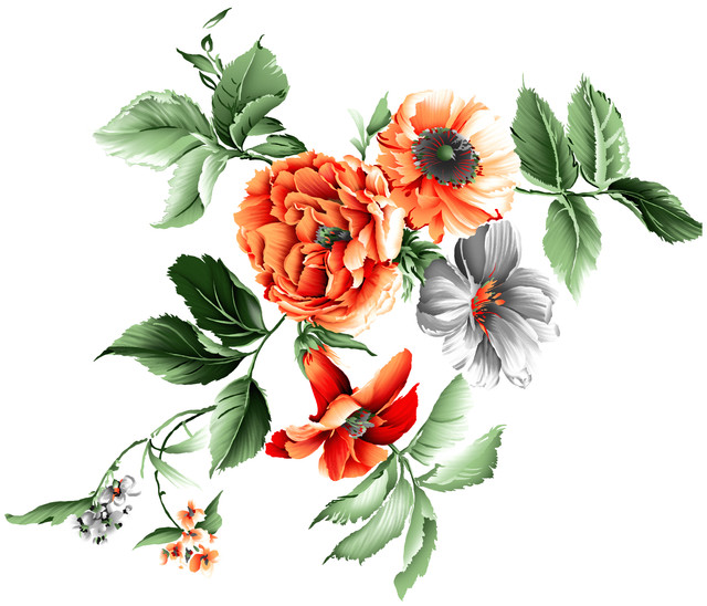 shutterstock-2011329740.jpg