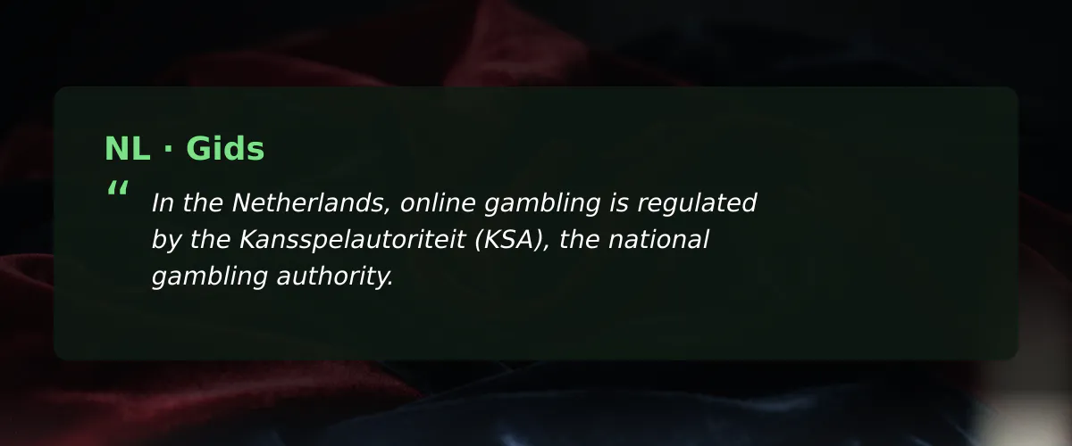 Online casino spel: mijn blik als speler met grote inzetten — Gids