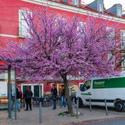 DSF5745