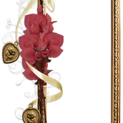 cluster-frame-171