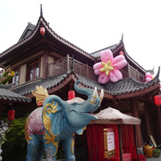 DSC08682