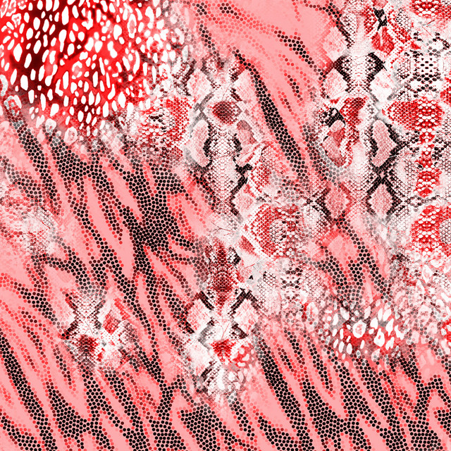 c78643c2ce.jpg