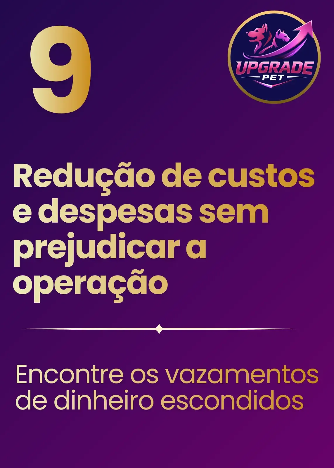 Imagem 9