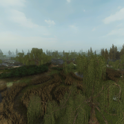 marsh main