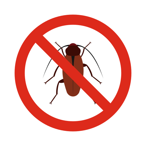 Kecoa (Cockroach)