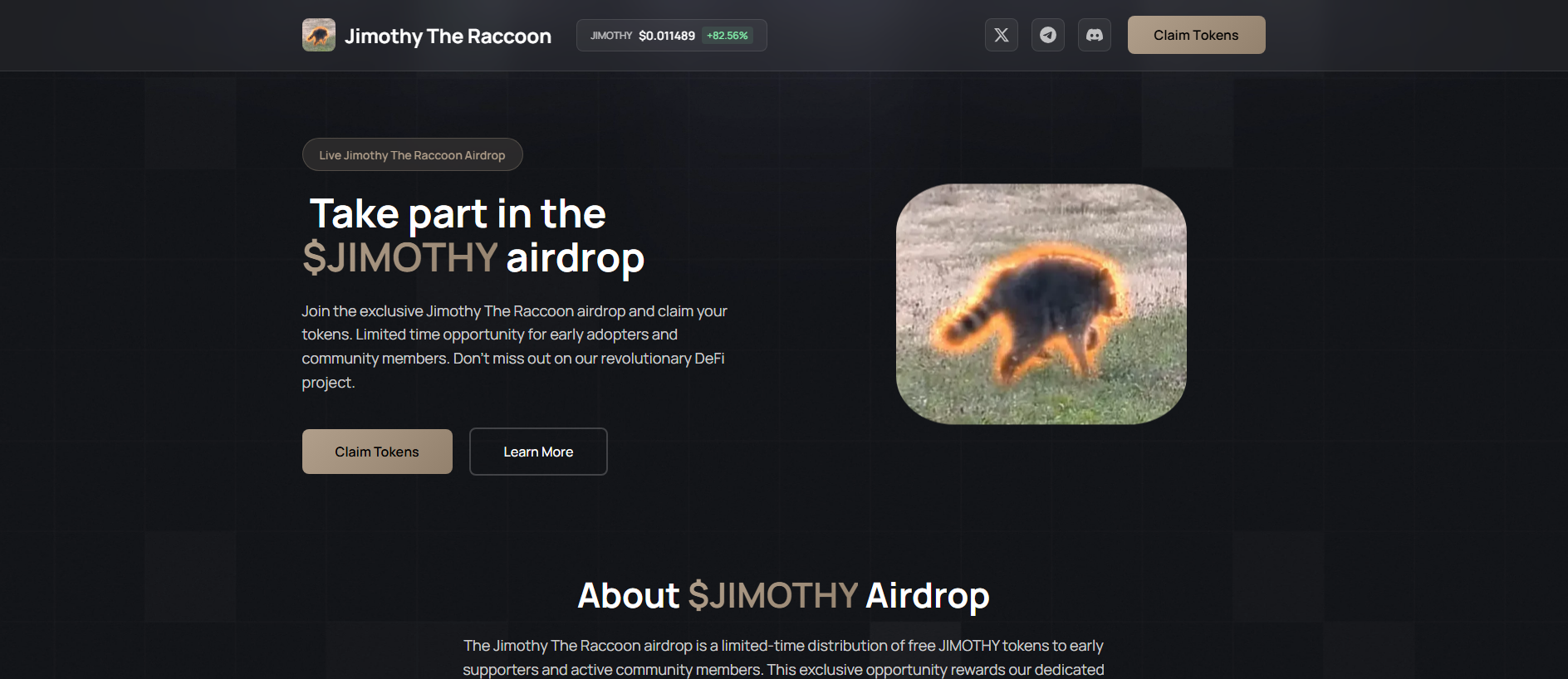 Forensic screenshot of jimothy.solcoin.info showing the phishing page layout